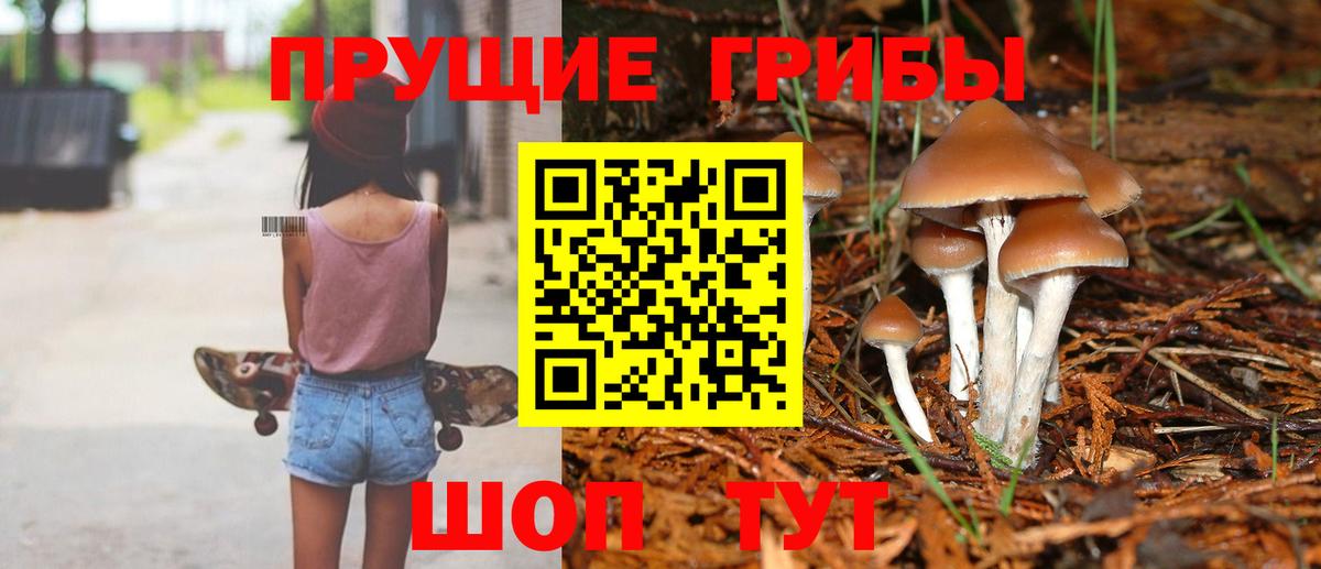 Галлюциногенные грибы MAGIC MUSHROOMS Нижнекамск
