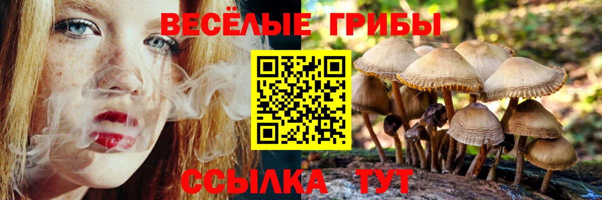 Псилоцибиновые грибы прущие грибы  Вход с VPN  Псилоцибиновые грибы Cubensis  Нижнекамск 